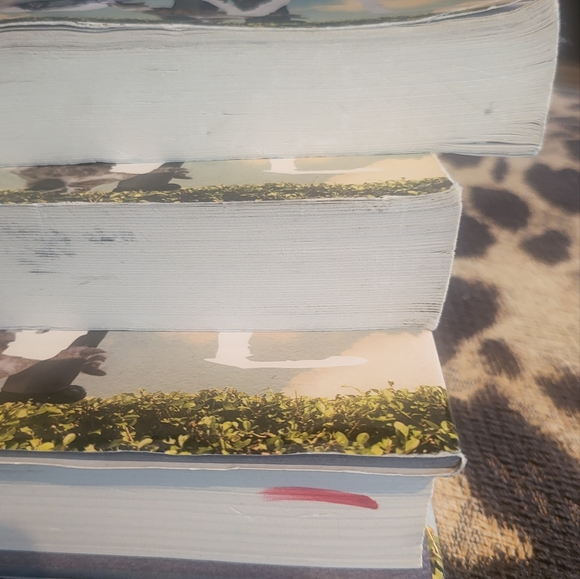 3 Book Club Books A MAN CALLED OVE by Fredrik Backman - Picture 5 of 12